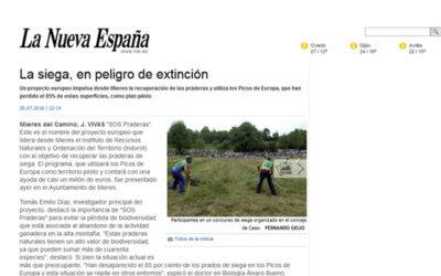 LA NUEVA ESPAÑA. La siega en peligro de extinción