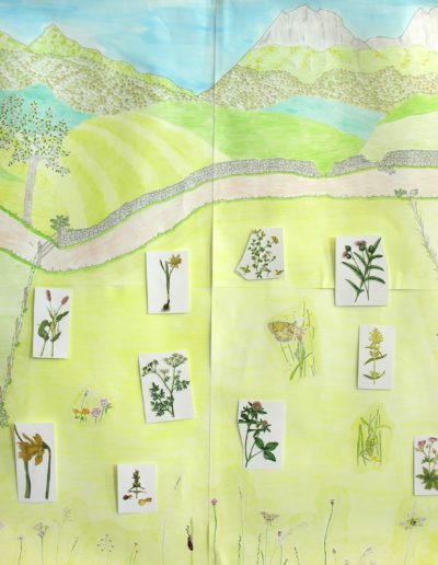 Jornadas de educación ambiental