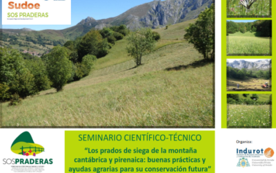 Taller local: «Los prados de siega de la montaña cantábrica y pirenaica: buenas prácticas y ayudas agrarias para su conservación futura”. 8 de noviembre de 2018