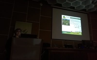 Divulgación de los resultados de GT4 en la jornada Deseño dunha arquitectura ambiental e climática para o plan estratéxico da PAC 2021-2027 adaptada ao rural galego